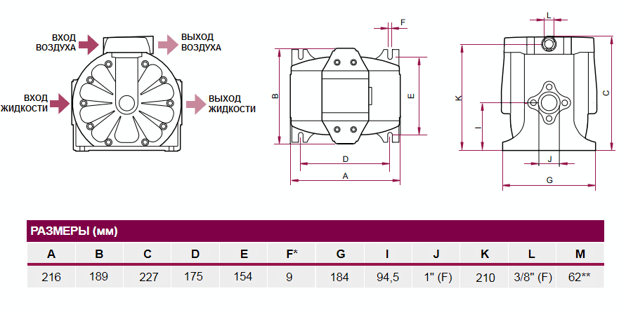 Габаритный чертеж насоса Samoa DF100_AA