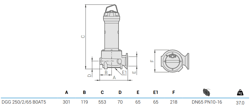 Габаритный чертеж насоса Zenit DGG 250/2/65 B0AT5