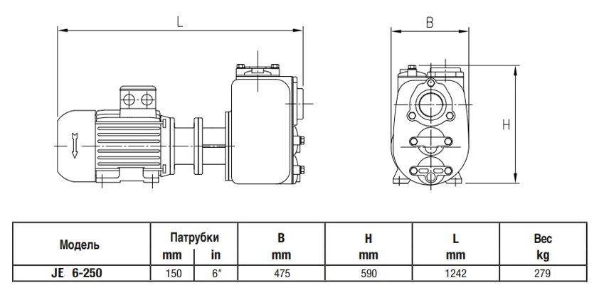 Габаритный чертеж насоса Varisco JE 6-250 G11 FT40