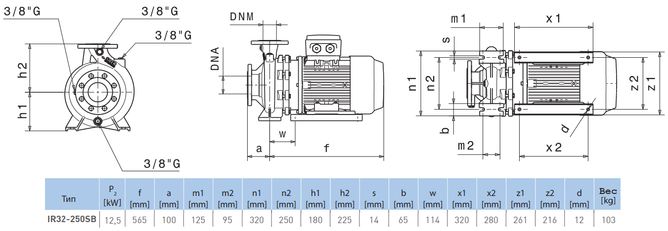 Габаритный чертеж насоса Saer IR32-250 SB