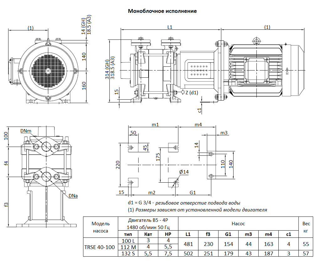 Габаритный чертеж вакуумного насоса Pompetravaini TRSE 40-100* F