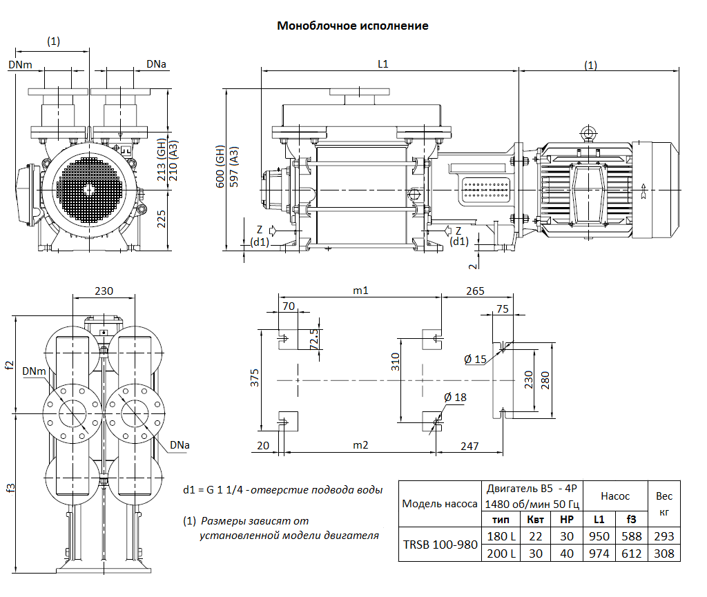 Габаритный чертеж вакуумного насоса Pompetravaini TRSB 100-980* GH
