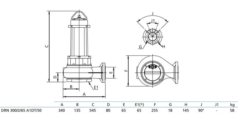 Габаритный чертеж насоса Zenit DRN 300/2/65 A1DT5