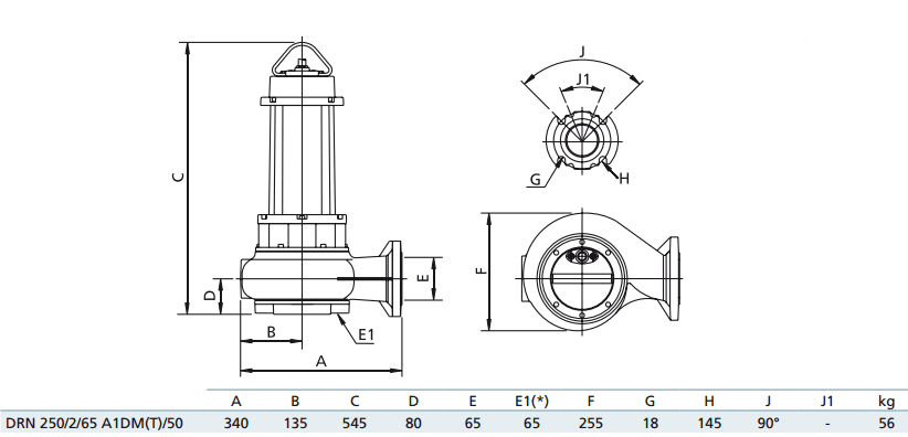 Габаритный чертеж насоса Zenit DRN 250/2/65 A1DM5