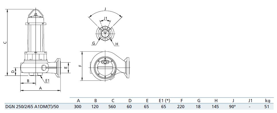 Габаритный чертеж насоса Zenit DGN 250/2/65 A1DT5
