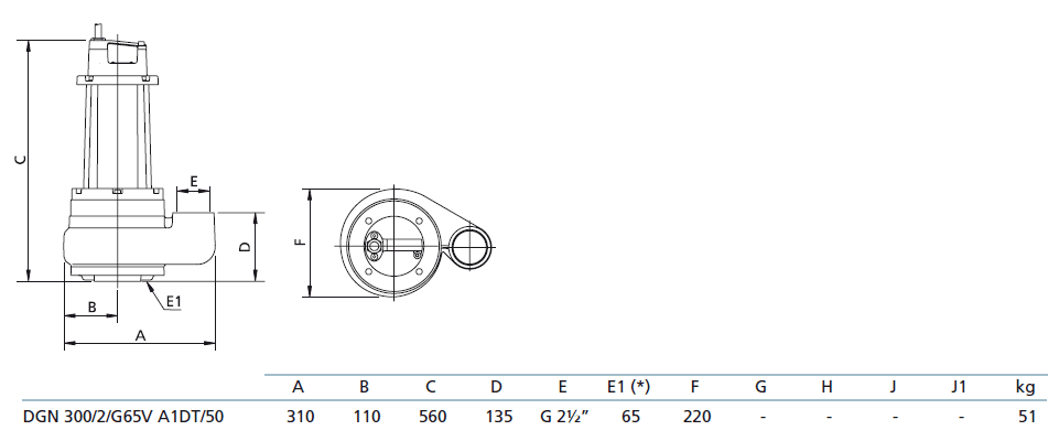Габаритный чертеж насоса Zenit DGN 300/2/G65V A1DT5