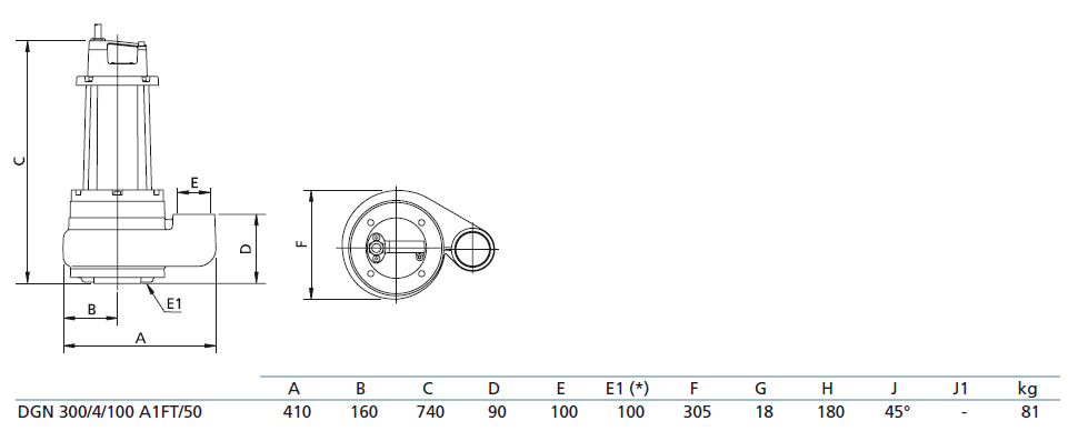 Габаритный чертеж насоса Zenit DGN 300/4/100 A1FT5