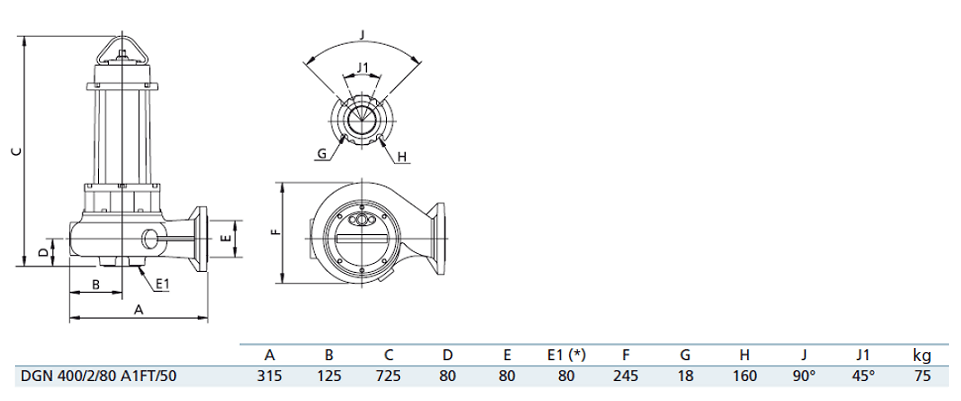 Габаритный чертеж насоса Zenit DGN 400/2/80 A1FT5