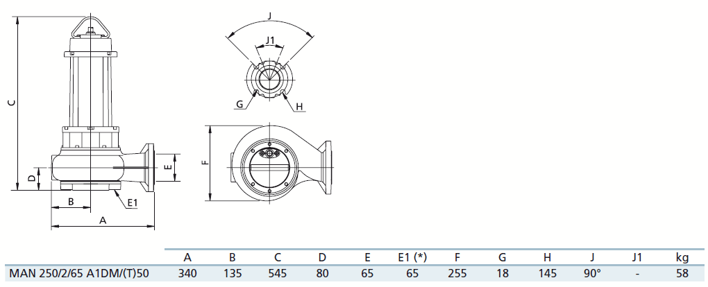 Габаритный чертеж насоса Zenit MAN 250/2/65 A1DM5