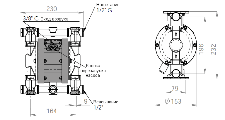 Габаритный чертеж насоса Debem MINIBOXER 50-A