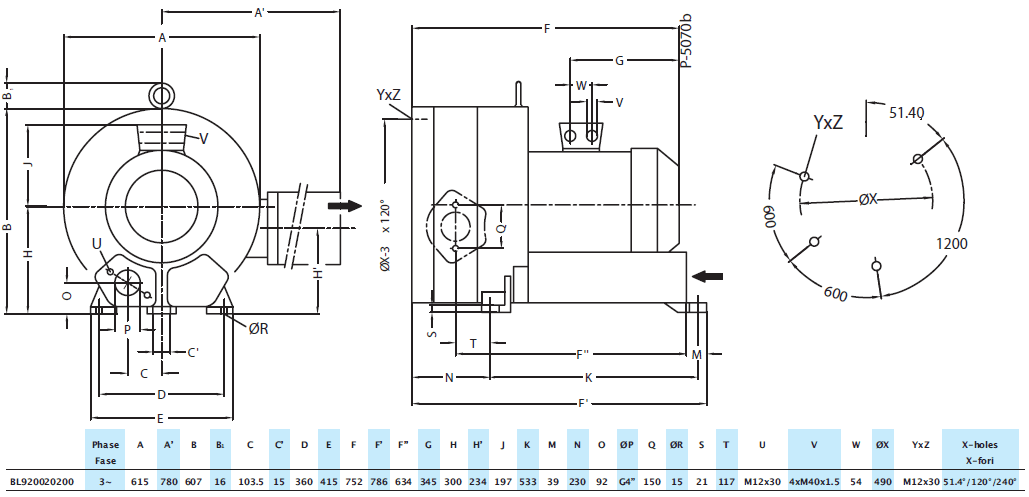 Габаритный чертеж воздуходувки Seko BL920020200