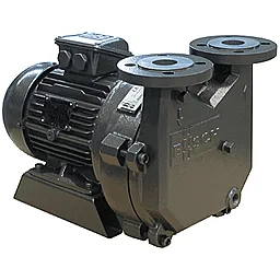 Моноблочный водокольцевой вакуумный насос Busch Dolphin LX 0110 B