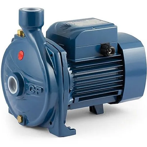 Внешний вид модели Pedrollo CP 150