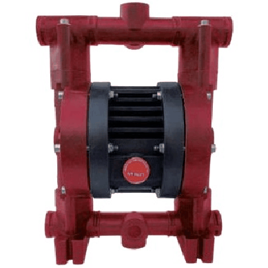 Внешний вид модели Ruby 020P-P-ZPT