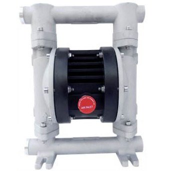 Внешний вид модели Ruby 020A-P-EEE