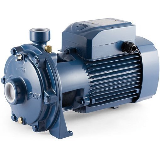 Внешний вид модели Pedrollo 2CPm 32/200C