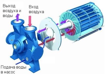 Основные рабочие детали водокольцевого насоса