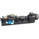 Винтовые насосы Vetlan VIN 304