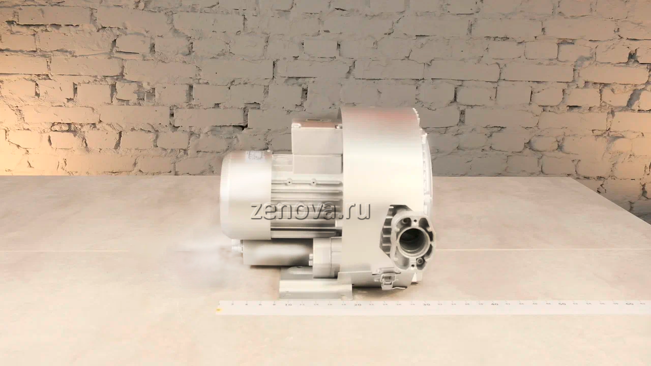 Вихревая воздуходувка Zenova 2RB 220-007 — Реальный внешний вид