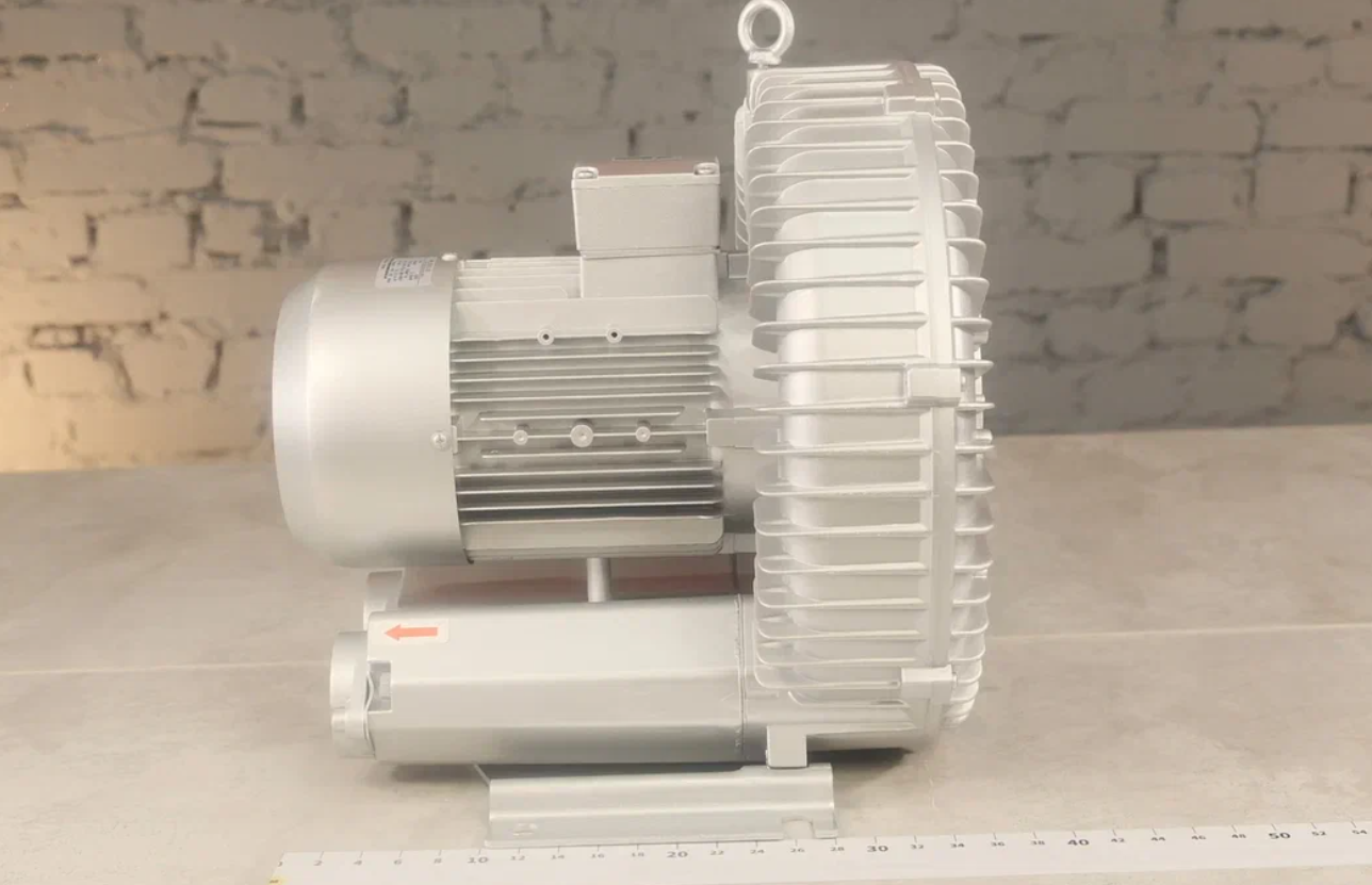Вихревая воздуходувка Zenova 2RB 710-022 — Реальный внешний вид