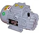 Безмасляный пластинчато-роторный вакуумный насос Pneumofore UVD6 (220В)