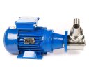 3D-фото Импеллерный насос Ortasinox GP 40 MN-MF-015-4