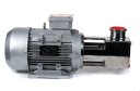 3D-фото Импеллерный насос Vetlan MPR-50N_380