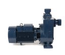 3D-фото Самовсасывающий насос для грязной воды Zenova XZ W25-35-3