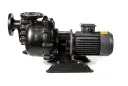 3D-фото Самовсасывающий химический насос Vetlan FRSP-40022