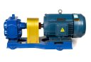 3D-фото Шестеренный насос для горячих масел Vetlan KCB-A 200-CCG/1/4/C с рубашкой обогрева
