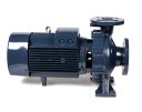 3D-фото Центробежный насос для горячих масел Zenova SEN-R5 50-160/75