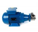 3D-фото Импеллерный насос Ortasinox GP 32 MN-MF-007-6