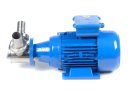 3D-фото Импеллерный насос Ortasinox GP 40 MN-MF-015-6