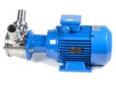 3D-фото Импеллерный насос Ortasinox GP 60 MN-TF-022-8