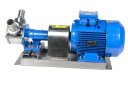 3D-фото Импеллерный насос Ortasinox GP 60 MN-TF-030-6